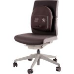 CHAIR BACK SUPPORT/PROFESSIONAL 8041901 FELLOWES
