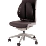 CHAIR BACK SUPPORT/BACK ANGEL 8026401 FELLOWES